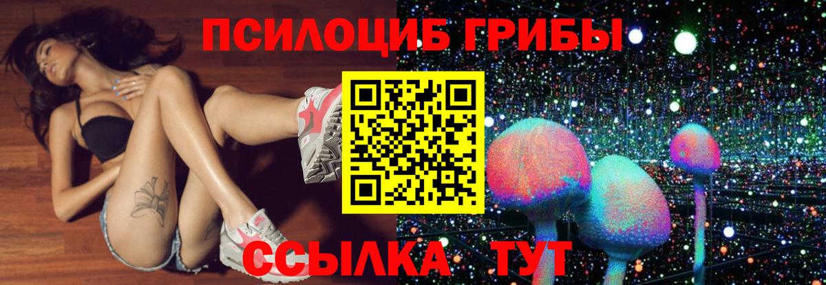 Псилоцибиновые грибы мицелий Ногинск